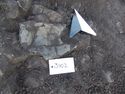 Thumbnail of Pot in situ