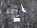 Thumbnail of Pot in situ