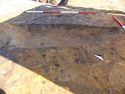 Thumbnail of W-facing section of pit 3421