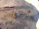 Thumbnail of S-facing section of 3342