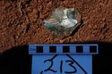 Thumbnail of Small find 213 from excavation at Puna Pau