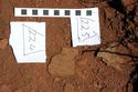 Thumbnail of Sfs 224 and 225 from excavation at Puna Pau