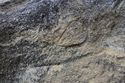 Thumbnail of Single eye petroglyph I02 in quarry bay in interior of Rano Raraku