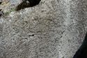 Thumbnail of Possible pair of eye petroglyphs E21 in quarry bay on exterior of Rano Raraku