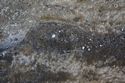 Thumbnail of Possible pair of eye petroglyphs E19 in quarry bay on exterior of Rano Raraku