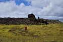 Thumbnail of Ahu AMS001 at Tetenga - Ara Moai South