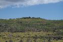 Thumbnail of Possible ahu AMS005 at Mahanga - Ara Moai South
