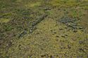 Thumbnail of Hare paenga and partial pavement AMS014 - Ara Moai South