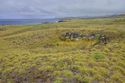 Thumbnail of Manavai AMS016 - Ara Moai South