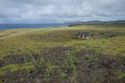 Thumbnail of Manavai AMS016 - Ara Moai South