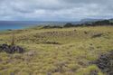 Thumbnail of Manavai AMS019 - Ara Moai South