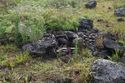 Thumbnail of Pile of stones AMS029 - Ara Moai South