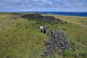 Thumbnail of Ahu AMS037 - Ara Moai South