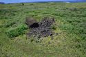 Thumbnail of Manavai AMS046 - Ara Moai South