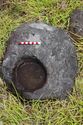 Thumbnail of Taheta AMS047 cut into a small rock