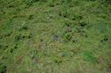 Thumbnail of Hare paenga AMS055 - Ara Moai South