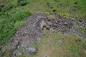 Thumbnail of Enhanced cave AMS064 - Ara Moai South