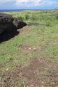Thumbnail of Poro pavement AMS069 - Ara Moai South
