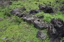 Thumbnail of Line of stones AMS079 - Ara Moai South