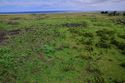 Thumbnail of Hare paenga AMS084 - Ara Moai South
