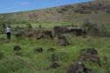 Thumbnail of Ahu Puoko (AMS098) - Ara Moai South