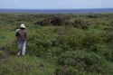 Thumbnail of Ahu Puoko (AMS098) - Ara Moai South