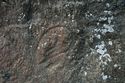 Thumbnail of Possible pair of eye petroglyphs E09 in quarry bay on exterior of Rano Raraku