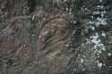 Thumbnail of Possible pair of eye petroglyphs E09 in quarry bay on exterior of Rano Raraku