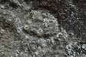 Thumbnail of Single eye petroglyph E16 in quarry bay on  exterior of Rano Raraku