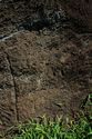 Thumbnail of Pair of eye petroglyphs I04 in quarry bay in interior of Rano Raraku