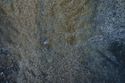 Thumbnail of Pair of eye petroglyphs E06 in quarry bay on exterior of Rano Raraku