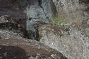 Thumbnail of Pair of eye petroglyphs E05 in quarry bay on exterior of Rano Raraku