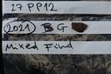 Thumbnail of Stone finds from (2021) G