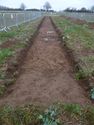 Thumbnail of General trench 77 loking SW