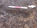 Thumbnail of E facing section of posthole [083006]