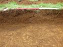 Thumbnail of Furrow, NE facing section [104006]