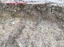 Thumbnail of Trench 385 ditch 385004 facing NE