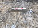 Thumbnail of Trench 130 ditch 13008 facing S
