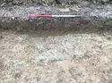 Thumbnail of Trench 379 furrow section 379004 facing NE