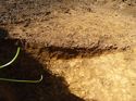 Thumbnail of [23006] E facing section of ditch no scales, looking W