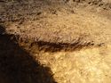 Thumbnail of [23006]E facing section of ditch no scales, looking W