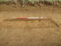 Thumbnail of Furrows, looking SE