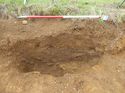 Thumbnail of [19406] NE facing section of pit 1 m, looking SW