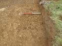 Thumbnail of [19324] Gully profile 1x1, looking E