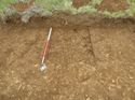 Thumbnail of [19324] Gully profile in plan 1x1, looking S