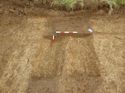 Thumbnail of Excavated features sections looking NW