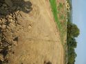 Thumbnail of General shot TR 186