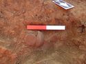 Thumbnail of [18621] [18622] Working shot / pit, looking W