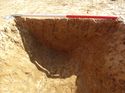 Thumbnail of (18707) [18707] NW facing section of linear f [18708], looking NW