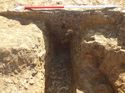 Thumbnail of [18620] Linear, looking S